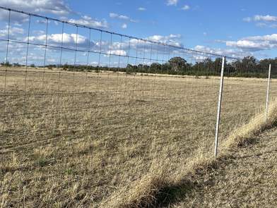 Narrabri Airstrip 3