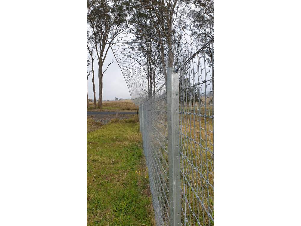 Poultry Fencing Casestudy