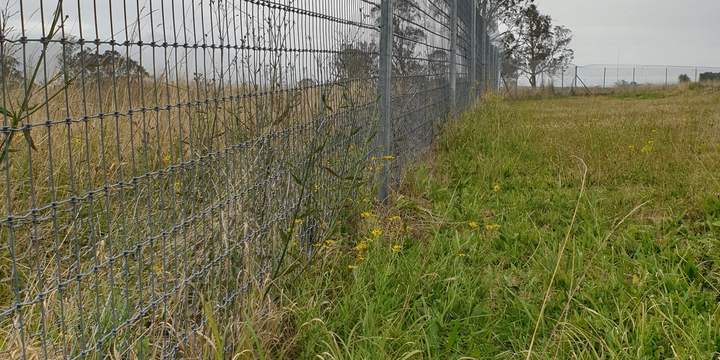 Animal exclusion fence