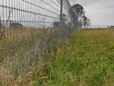 Animal exclusion fence