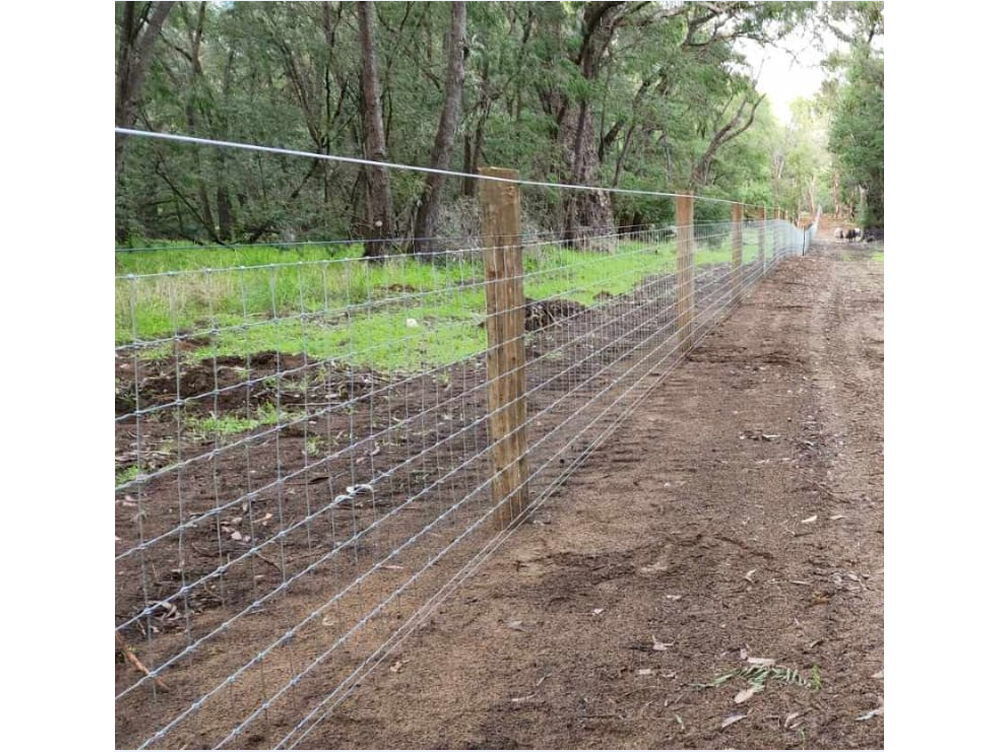 Yard Fence