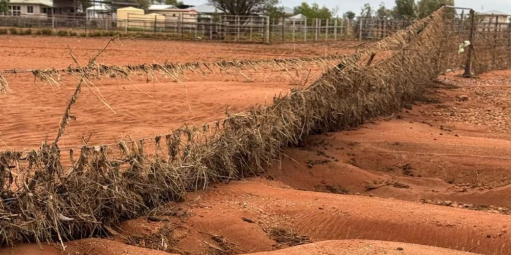 Fence website banner